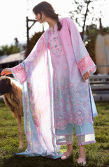 Solace Ombre Chikankari By Mushq Unstitched Lawn Embroidered 3 Piece Suit - MQHMSOCK- Faint Blossom- Summer Collection