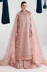 Festive Lawn By Qalamkar Unstitched Lawn Embroidered 3 Piece Suit  - QLMFSTL-11-Jina - Summer Collection