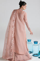 Festive Lawn By Qalamkar Unstitched Lawn Embroidered 3 Piece Suit  - QLMFSTL-11-Jina - Summer Collection