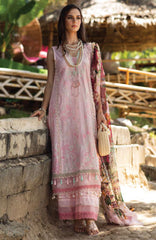 ANSAB JAHANGIR