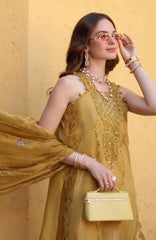 Noor Chikankari By Saadia Asad Unstitched Lawn Embroidered 3 Piece Suit - NSACKL-2B -  Summer Collection