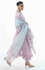 Festive Lawn By Qalamkar Unstitched Lawn Embroidered 3 Piece Suit  - QLMFSTL-02-Isane - Summer Collection