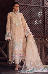 ANSAB JAHANGIR