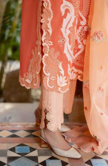 Astoria By Mushq Unstitched  Festive Lawn Embroidered 3 Piece Suit - MQHMAFL-10-Avienne- Summer Collection