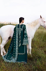 HUSSAIN REHAR