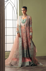 Luminara by Ayzel Unstitched Organza Embroidered  3 Piece Suit- AYZLMN171-LUNAL - Wedding Collection