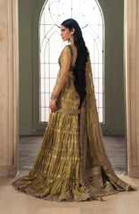 Luminara by Ayzel Unstitched Organza Embroidered  3 Piece Suit- AYZLMN179-IRIL - Wedding Collection