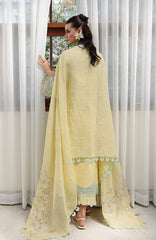 Chikankari By Qalamkar Unstitched Lawn Embroidered 3 Piece Suit - QLMCKL-02- Ayla- Summer Collection