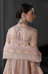Elirah Formals Collection'25 By Qalamkar Embroidered Organza Suits Unstitched 3 Piece - Formal Collection