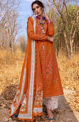 SASH25L - SHAMS-B