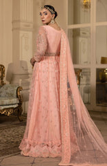 Raj Kumari By Sidra Aleem Unstitched Embroidered Suit 3 Piece -SDARK25F3- Festive Collection