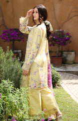 Lifestyle By Rang Rasiya Unstitched Lawn Printed 3 Piece Suit  - RRLSPL -Hazel - Summer Collection