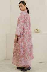 Amore By Ayzel Unstitched Lawn Embroidered 3 Piece - AZAMR25L08 - Rosee- Summer Collection