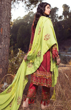 Load image into Gallery viewer, Wintry Breeze Embrd.Shawl Collection&#39;20